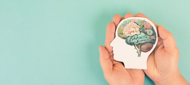 Hands holding paper head, human brain with flowers, self care an